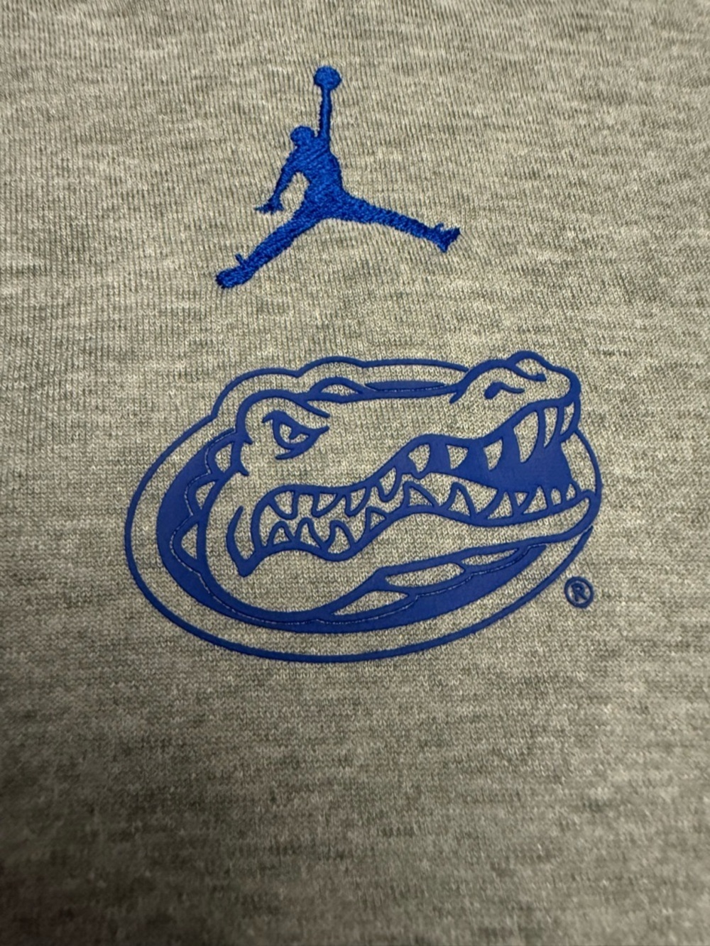 Jordan Florida Gators Hoodie Mens Large Gray Jumpman NCAA Sweatshirt - Picture 5 of 8